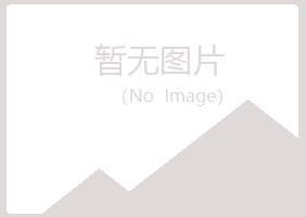 白银平川大海化学有限公司